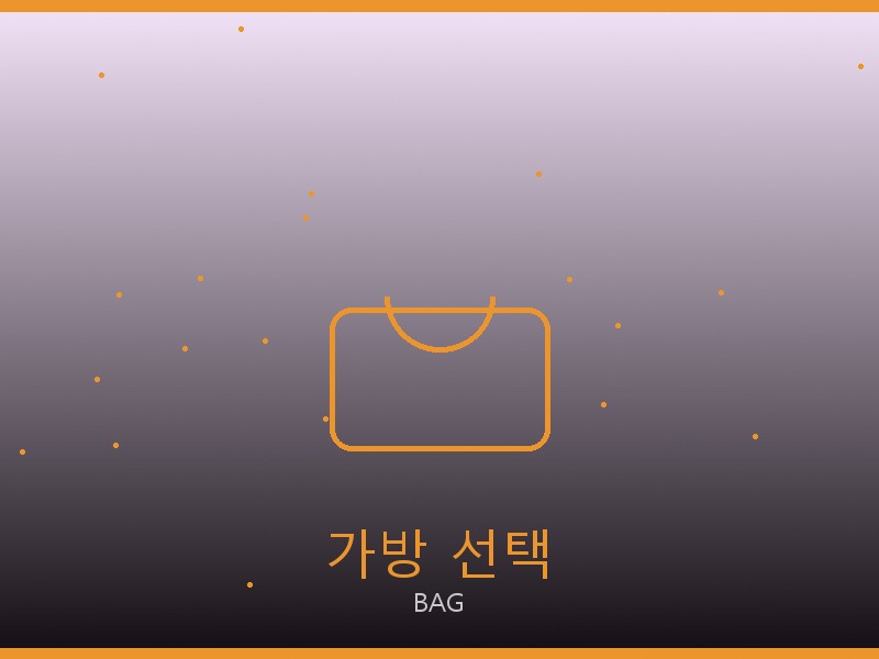 에륩스 22 백 S급 가방 선택 가이드