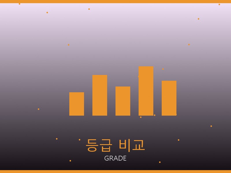 에륩스 22 백 S급 등급 기준 비교